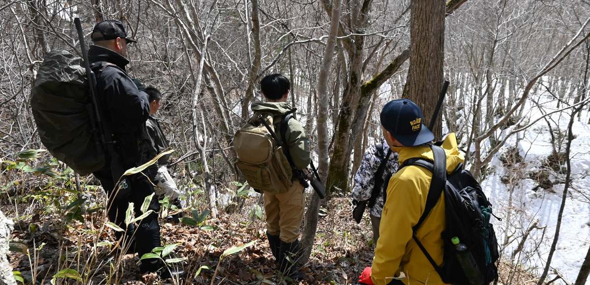 ヒグマ捕獲の為の下見